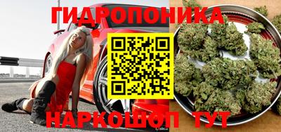 ешки Кингисепп