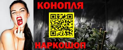 ешки Кингисепп