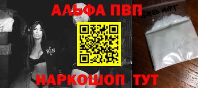ешки Кингисепп