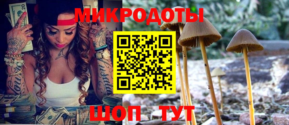 Галлюциногенные грибы Magic Shrooms Кудрово