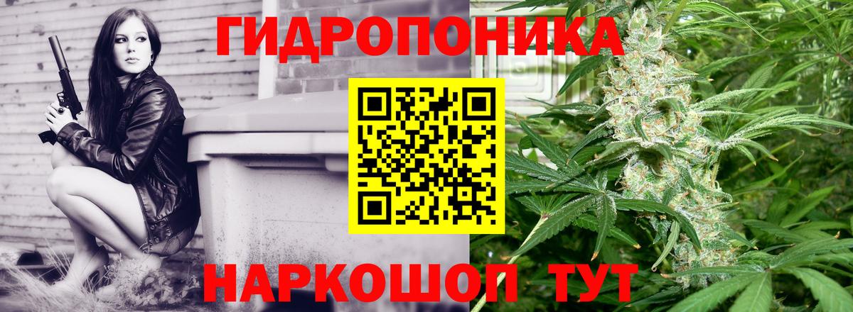 МАРИХУАНА OG Kush  Вход с VPN  Кудрово  Марихуана сатива 